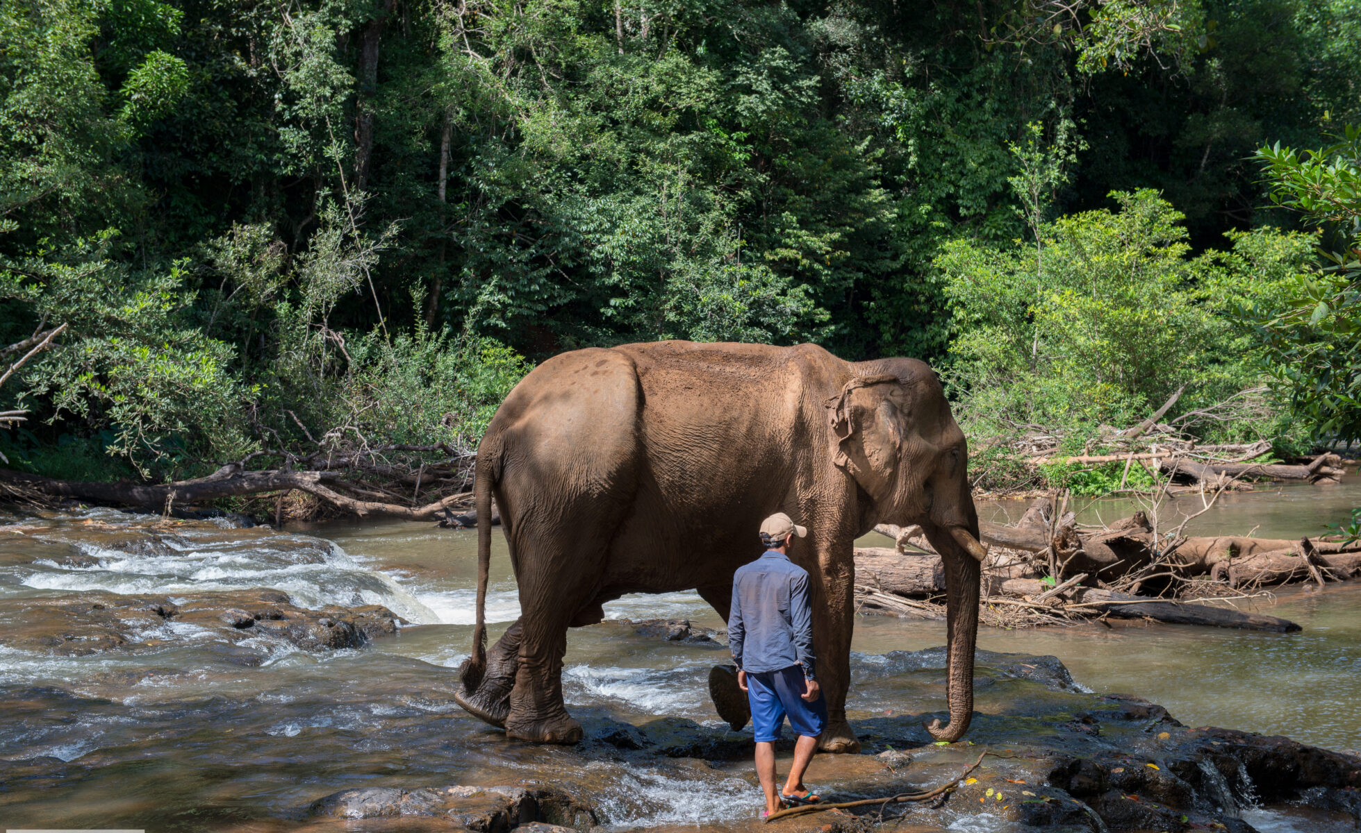 Dormir chez l'habitant au Cambodge le sanctuaire des éléphants