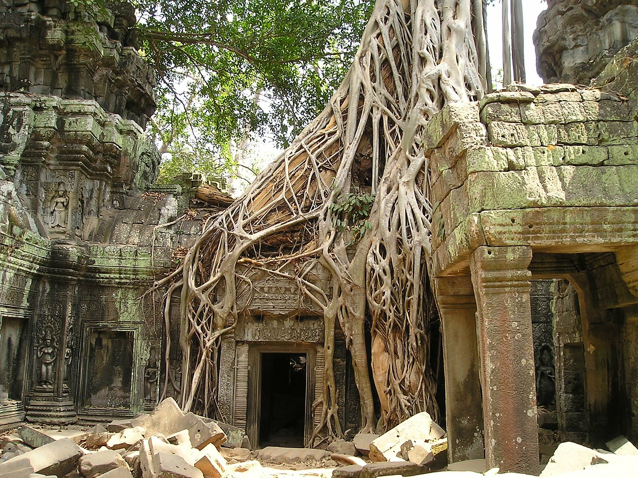 Angkor temple Ta Prohm